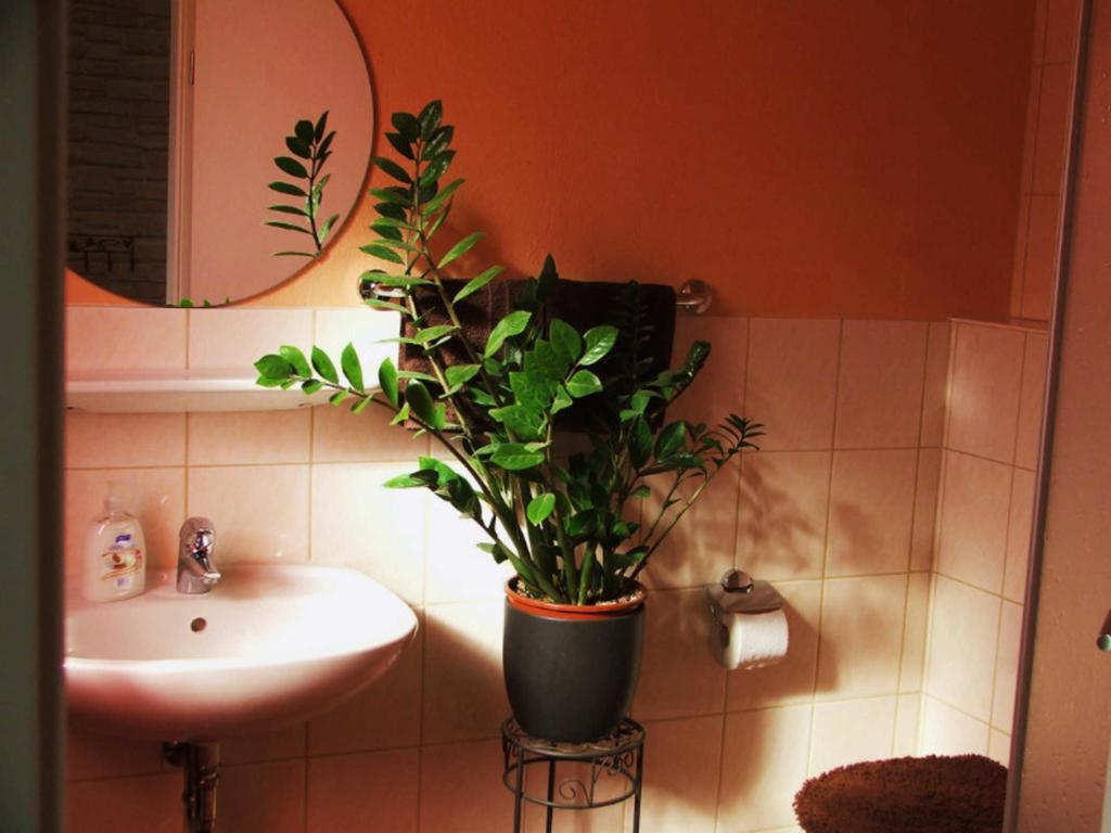 Ferienwohnung Am Fluss Rust Luaran gambar